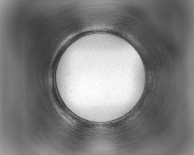 X0000067950632200604131203