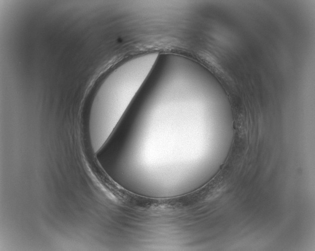 X0000067950634200604131204