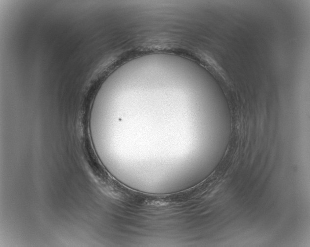 X0000067950635200604131204