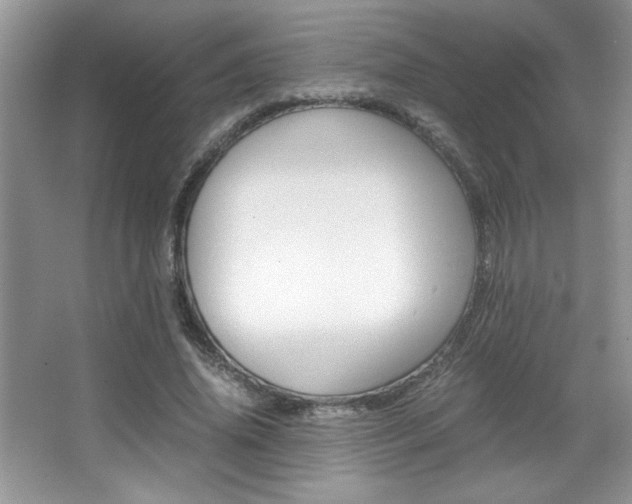 X0000067950636200604131204