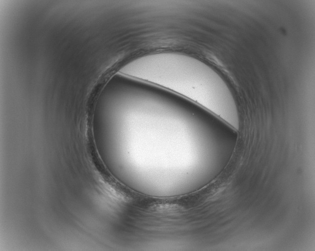 X0000067950637200604131204