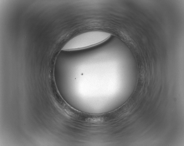 X0000067950639200604131204