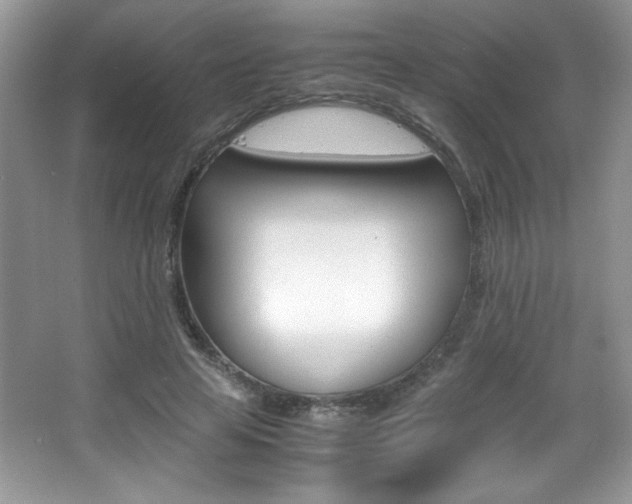 X0000067950641200604131204