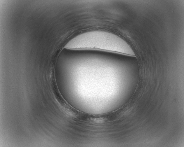 X0000067950645200604131204