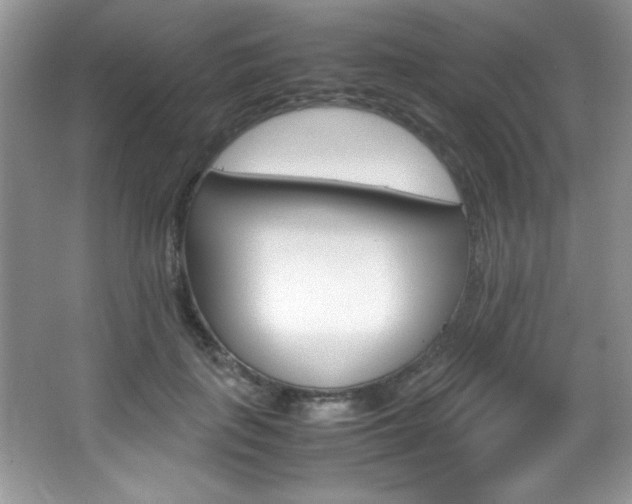 X0000067950651200604131204