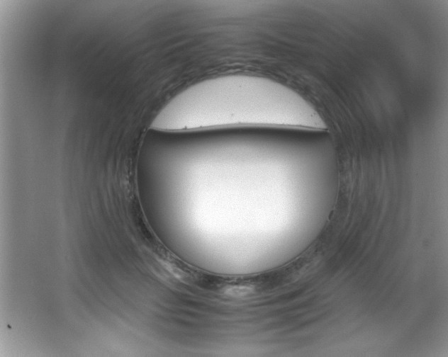 X0000067950653200604131204