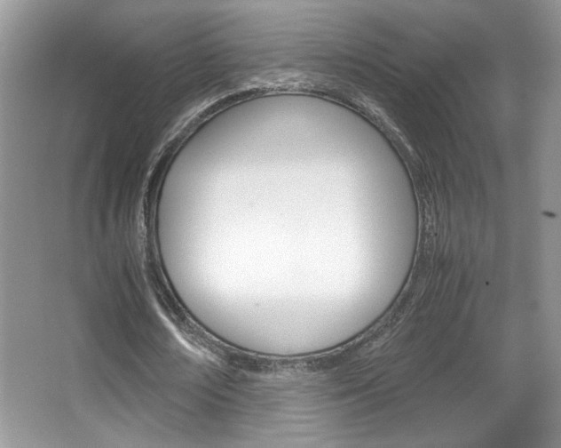 X0000067950674200604131203