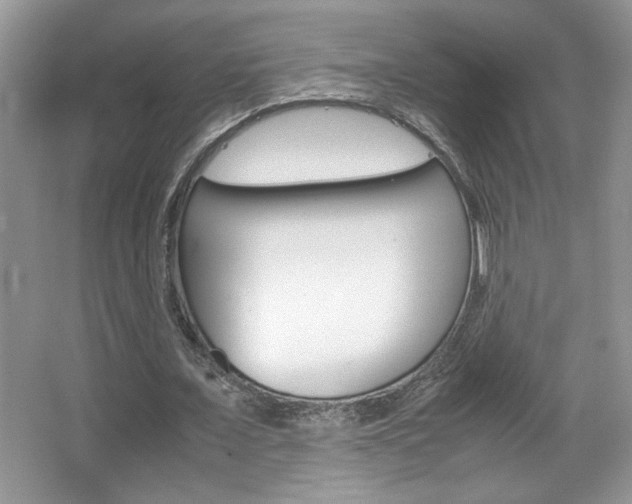 X0000067950675200604131203