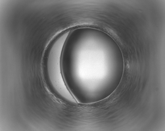 X0000067950676200604131203