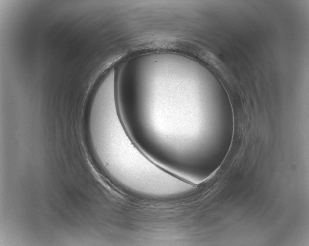 X0000067950677200604131203