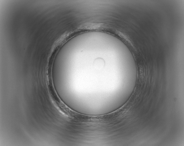 X0000067950682200604131203
