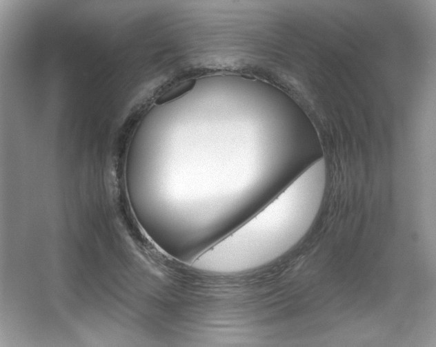X0000067950688200604131203