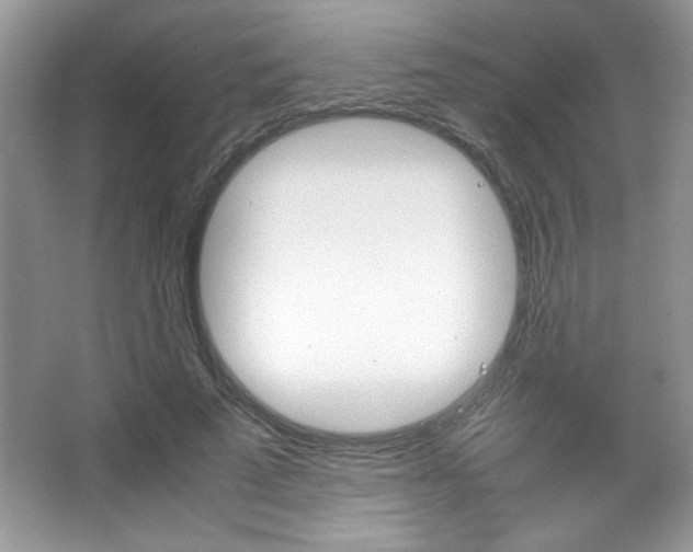 X0000067950689200604131203