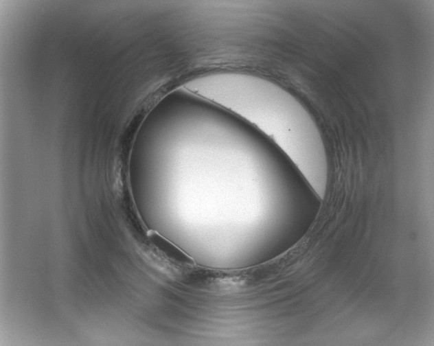 X0000067950692200604131203