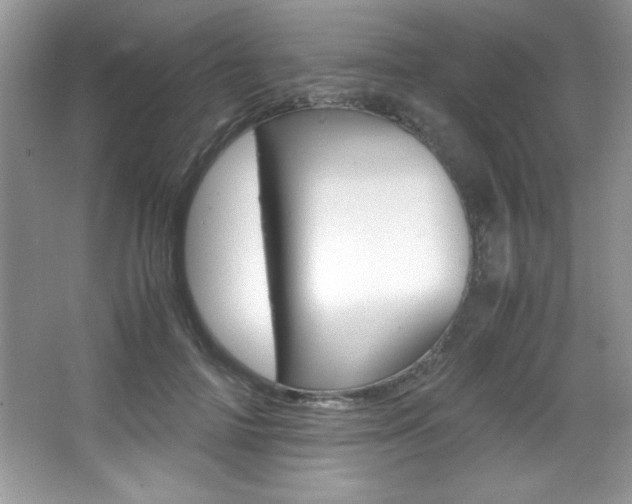 X0000067950698200604131203