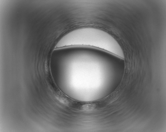 X0000067950700200604131203
