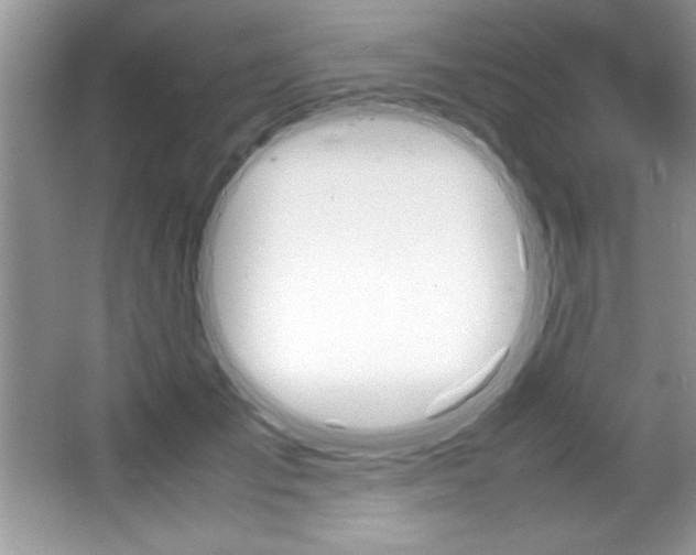 X0000067950701200604131203