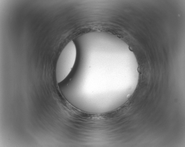 X0000067950702200604131203