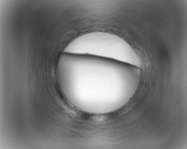 X0000067950711200604131203