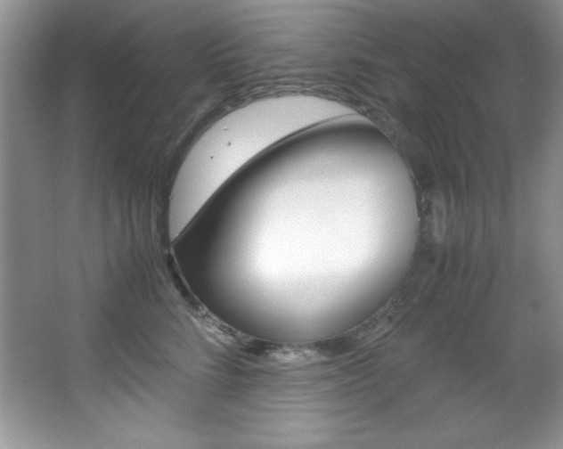 X0000067950712200604131203