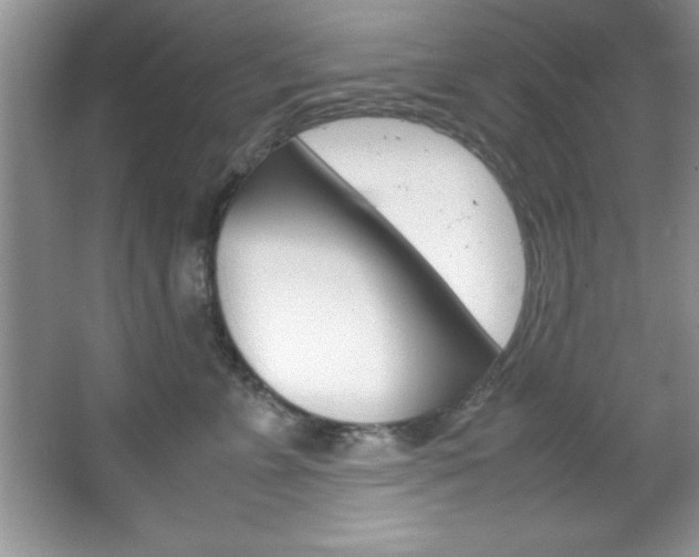 X0000067950715200604131203