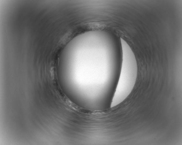 X0000067950716200604131203
