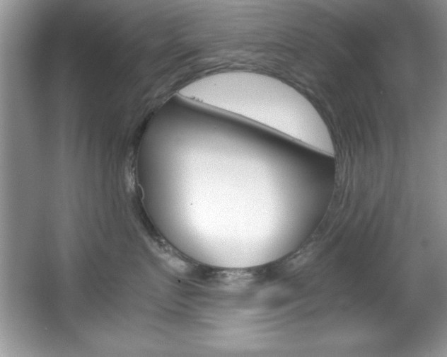 X0000067950719200604131203