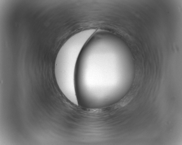 X0000067950720200604131203