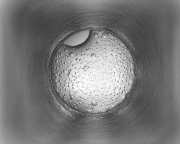 X0000067950721200604131202