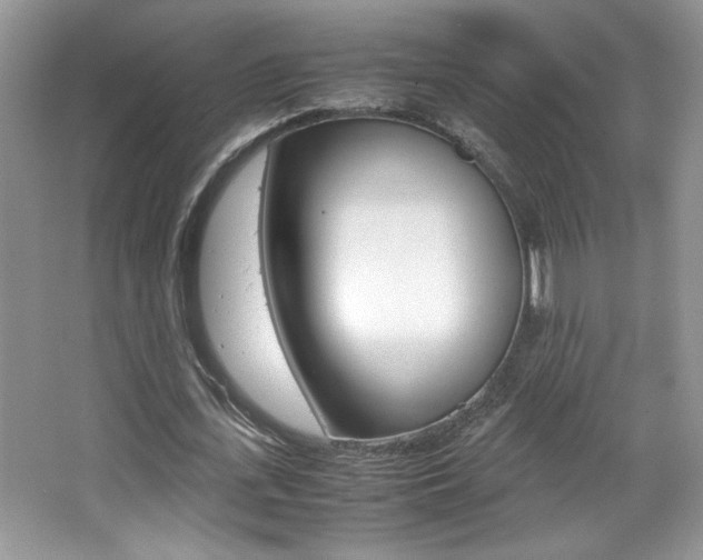 X0000067950723200604131202