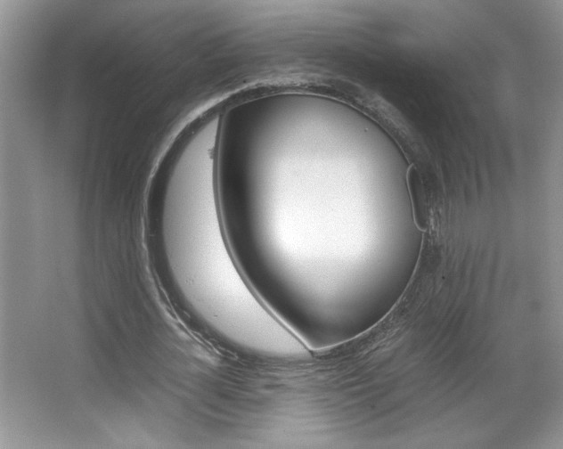 X0000067950724200604131202