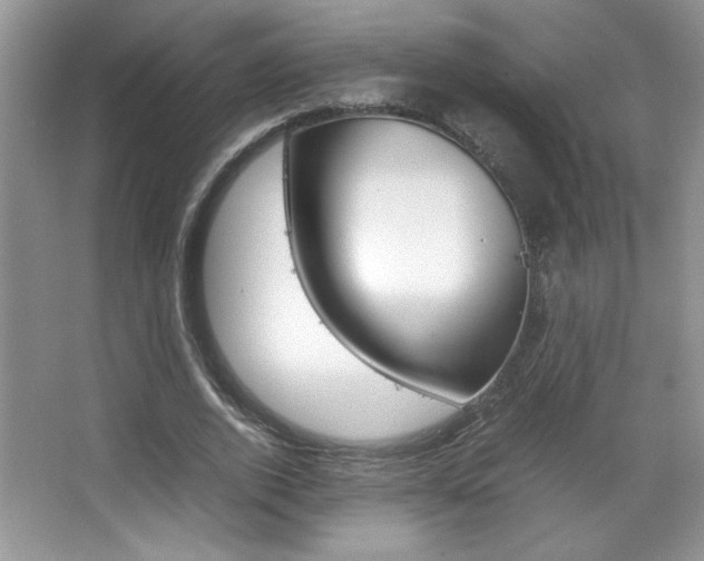 X0000067950728200604131202