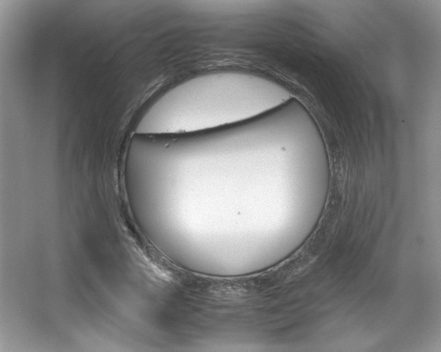 X0000067950729200604131202