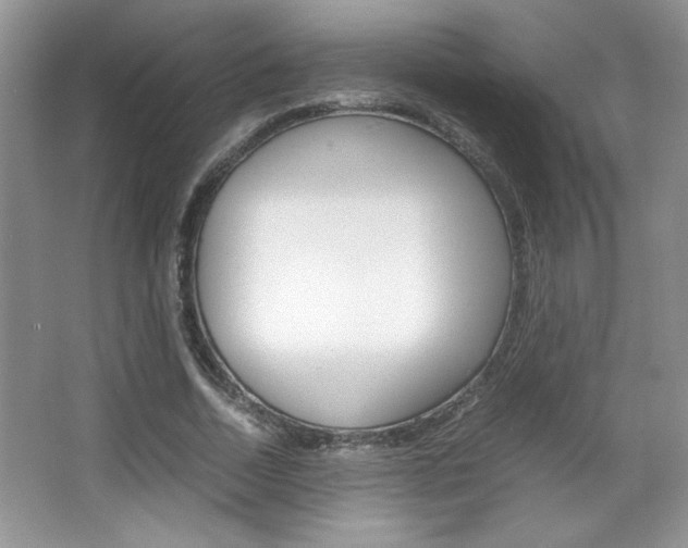 X0000067950730200604131202