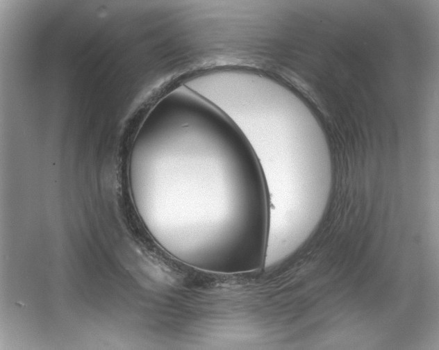 X0000067950732200604131202