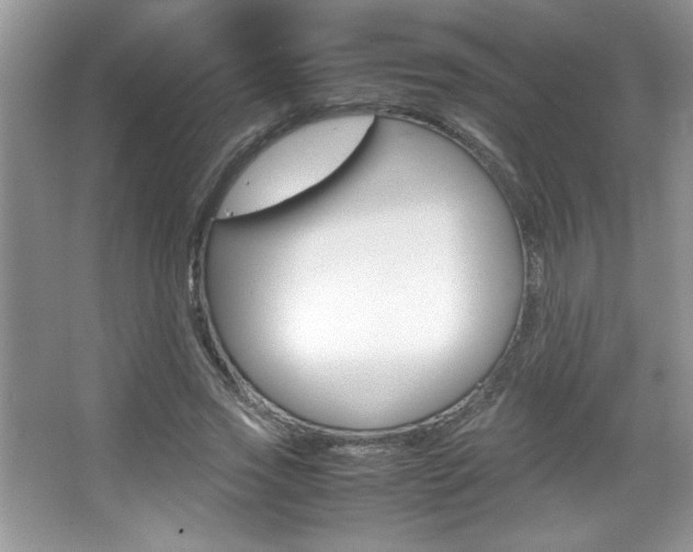 X0000067950733200604131202