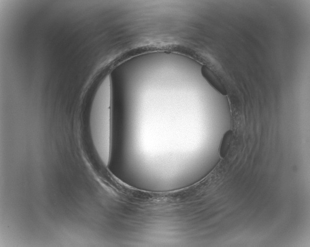 X0000067950736200604131202