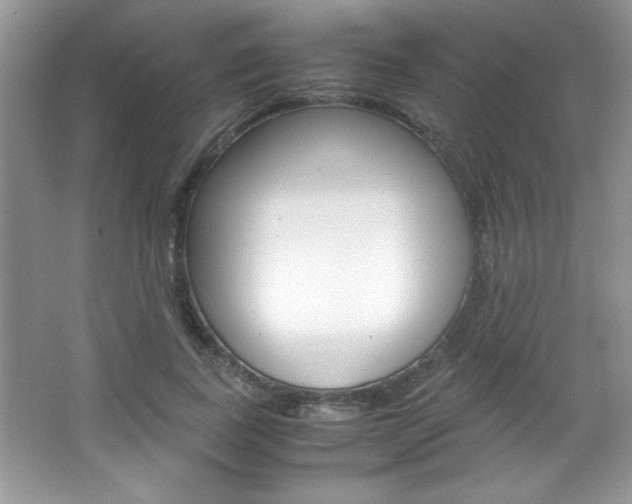 X0000067950739200604131202