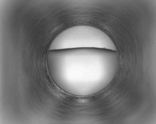 X0000067950741200604131202