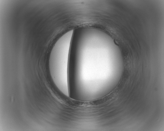 X0000067950742200604131202