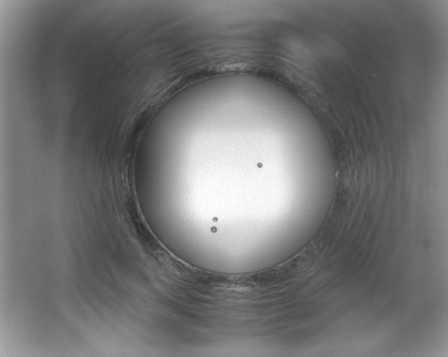 X0000067950743200604131202