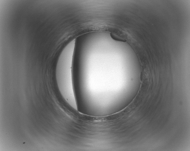 X0000067950744200604131202