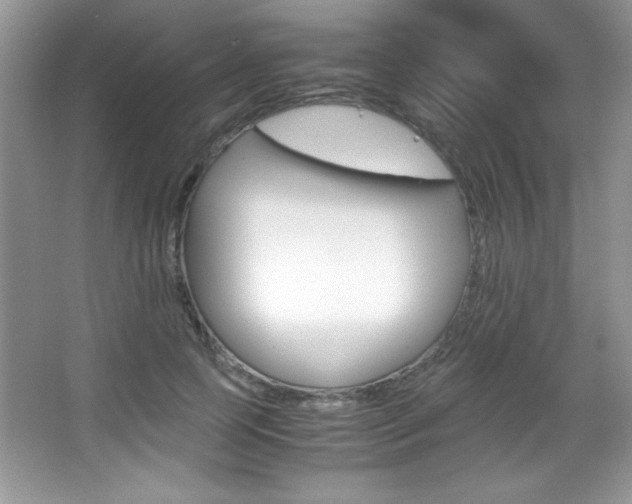 X0000067950745200604131202