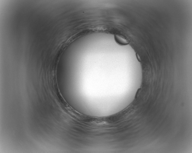 X0000067950747200604131202