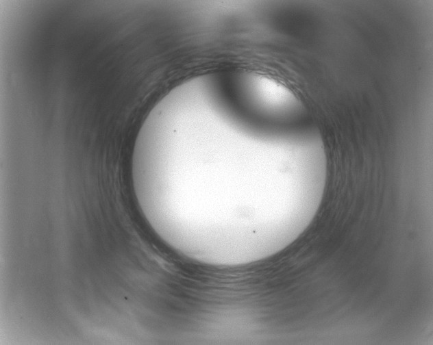 X0000067950750200604131202