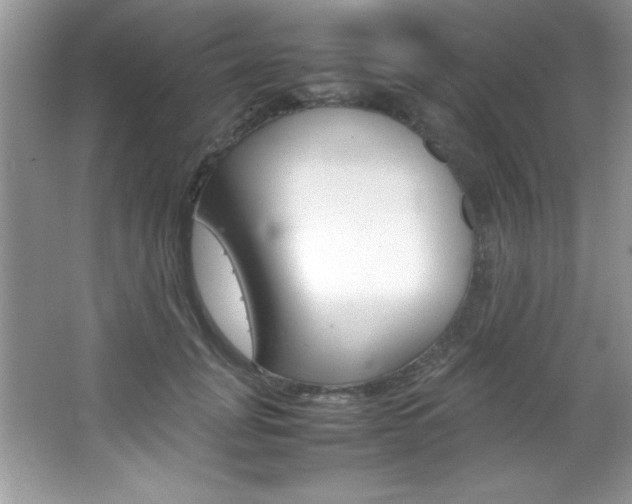 X0000067950751200604131202
