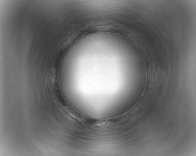 X0000067950752200604131202