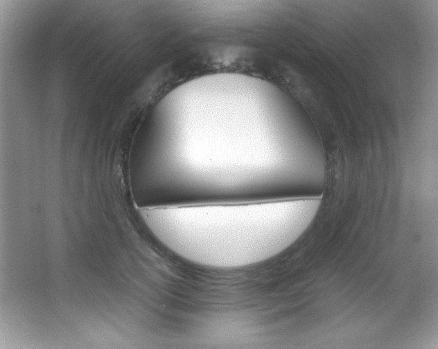 X0000067950754200604131202