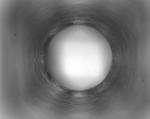 X0000067950755200604131202