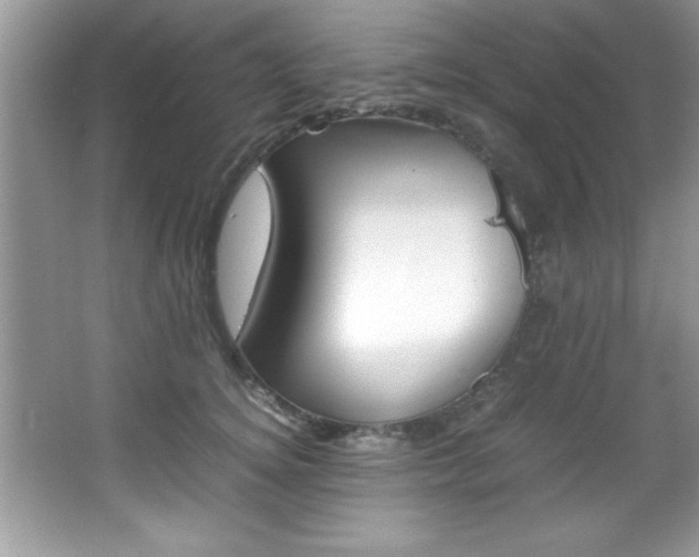 X0000067950756200604131202